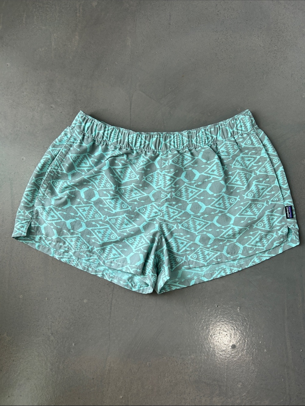 Patagonia Mint Green Print Athletic Shorts